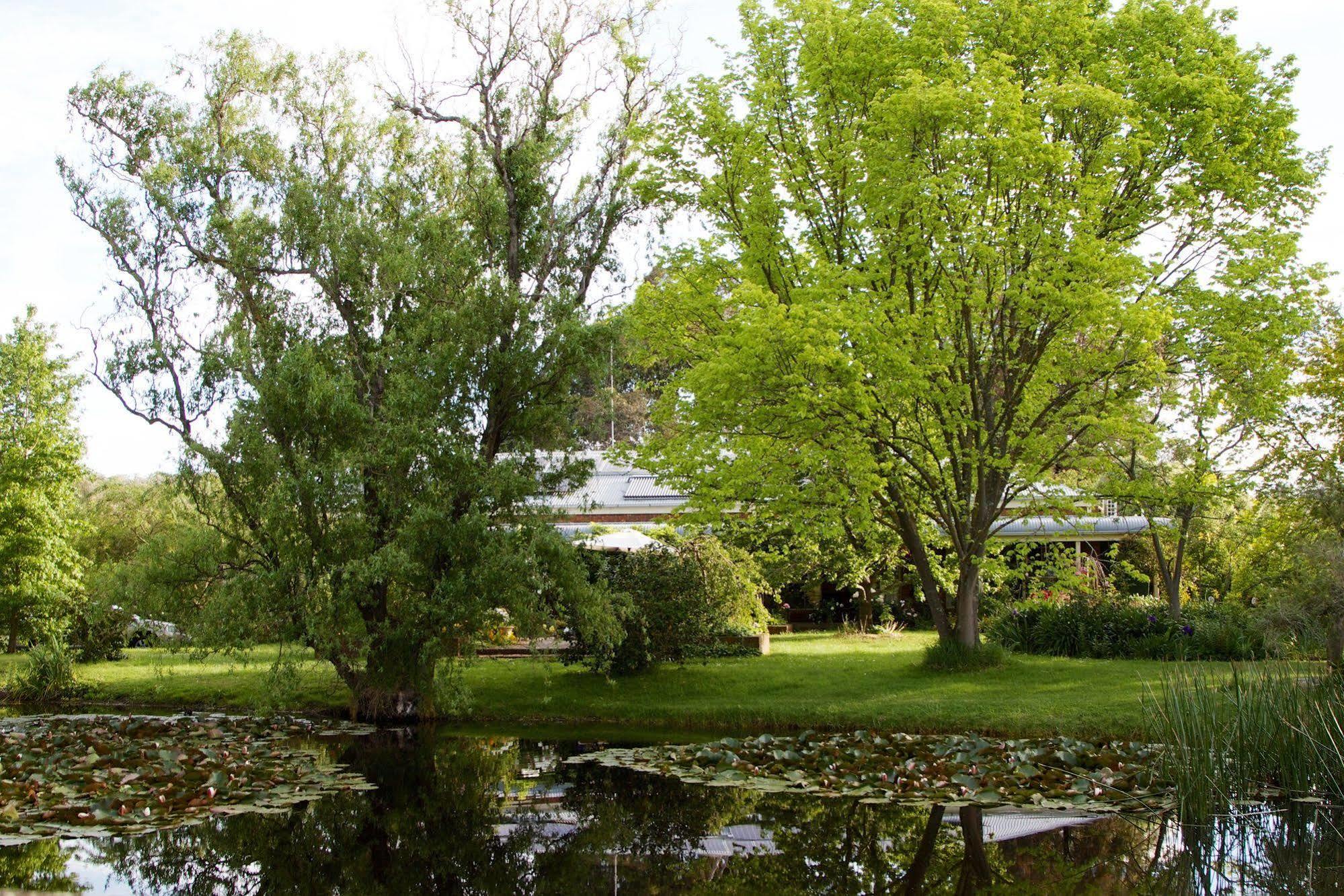 Holly Lane Mews Motel Yarra Glen Luaran gambar